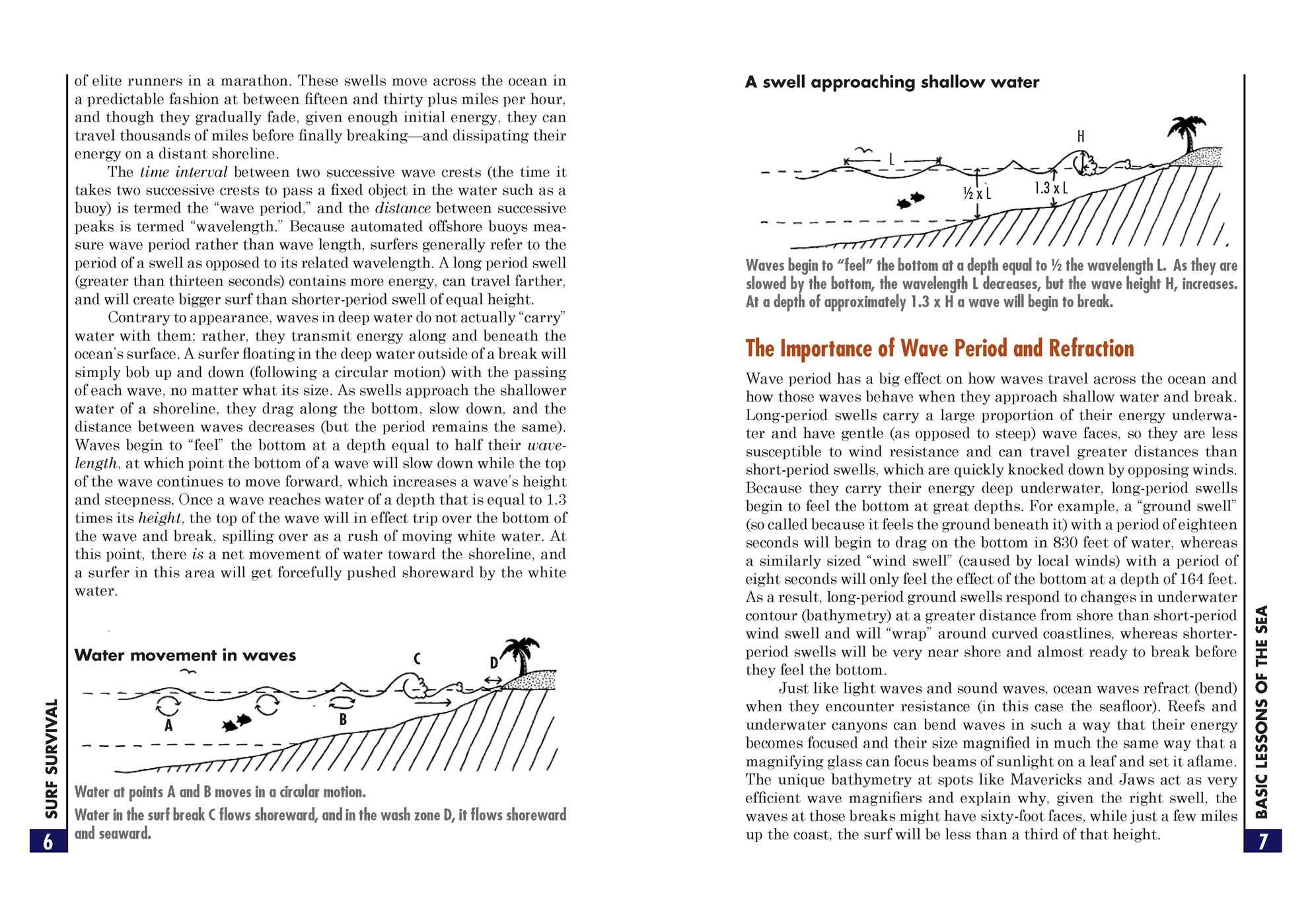 Surf Survival: The Surfer's Health Handbook