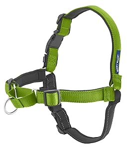 PetSafe Deluxe Easy Walk Harness, Large, Apple Green