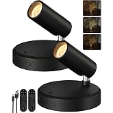 EZVALO Indoor Spotlights, Picture Lights for Wall, Plant Up Lights | 5500mAh Rechargeable Battery, with Remote, Mini, Wireless, Magnetic, Timer, 3 Color Temps, Plant, Art, Wall Decor, 2-Pack