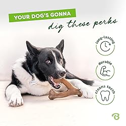 Benebone Wishbone Durable Dog Chew Toy for