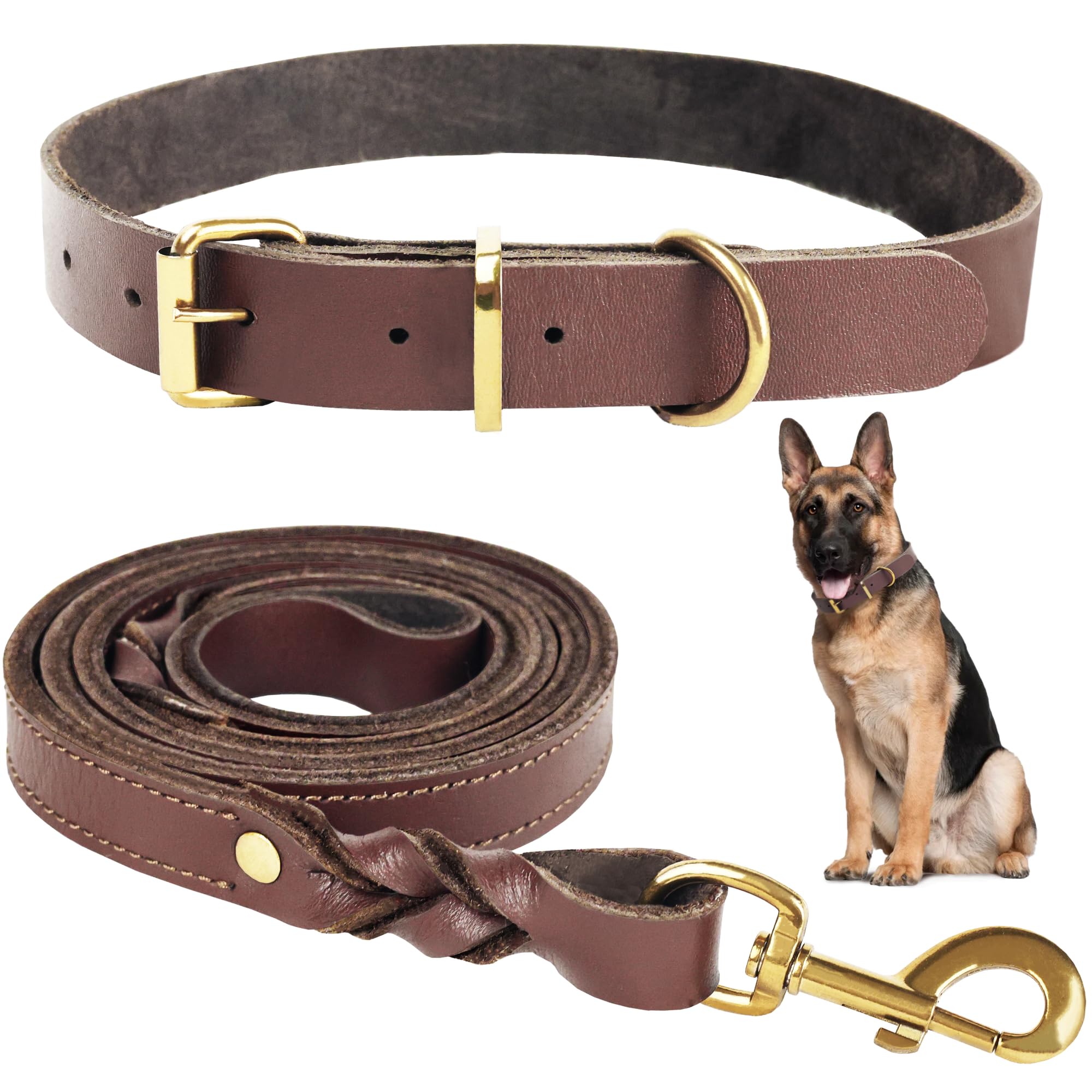 1.5 Meter Premium Leather Dog Leash and Collar Set for Stylish Dog, Soft Leather Collar and Strong Double Braided Leash, Comfortable and Secure Dog Training, Walking, Playing.… (Medium)