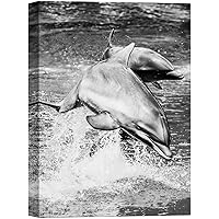 SIGNWIN Canvas Wall Art Two Playful Dolphins Swimming and Jumping in The Sea Marine Life Ocean Photography Modern Art Beach Dramatic Black and White for Living Room, Bedroom, Office - 12x18 inches
