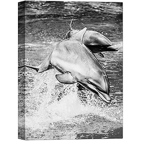 SIGNWIN Canvas Wall Art Two Playful Dolphins Swimming...
