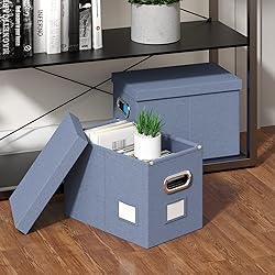 DYWMM Hanging File Box with Lid, Set of 2 Filing