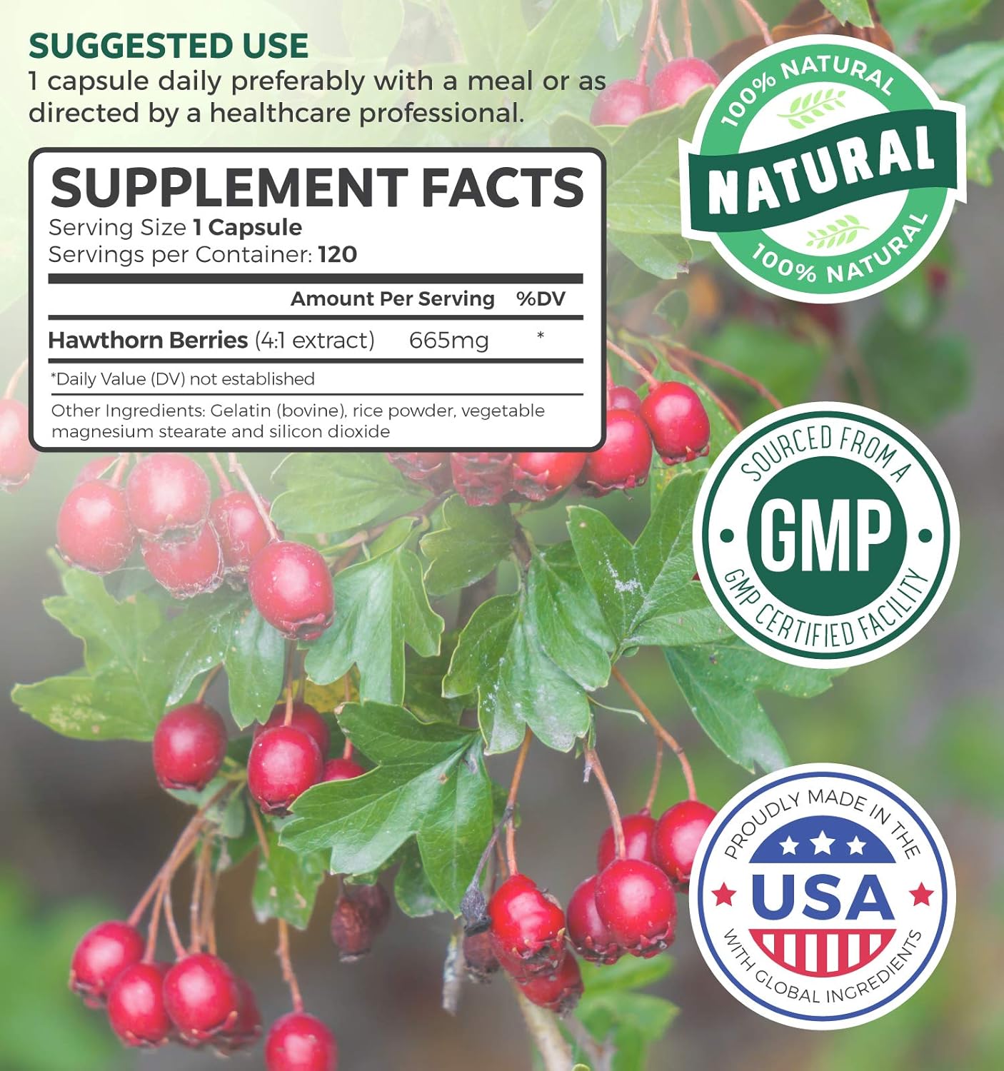 Hawthorn Berry 4:1 Extract (120 Capsules) Supports Healthy Blood Pressure, Circulation, Heart Health & Immune System - Powerful Antioxidant Hawthorne Supplement: Health & Personal Care