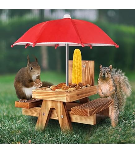 KHayRovies Mangeoires Pour écureuils Pour L'extérieur Drôle, Mangeoire Pour écureuils, Cacahuètes, Maison D'écureuil En Bois Carbonisé Pour écureuils, écureuils, Table De Pique-nique Pour Jardin