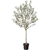 Amazon Brand - Stone & Beam Artificial Olive Tree with Plastic Nursery Pot, 5.6 Feet (67.5 Inches) / Large, Indoor