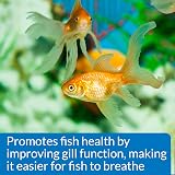 API Freshwater Aquarium Salt 453 g box by API for stress relief electrolytes view 6