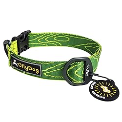 OllyDog Flagstaff Collar, Webbing Dog Collar with