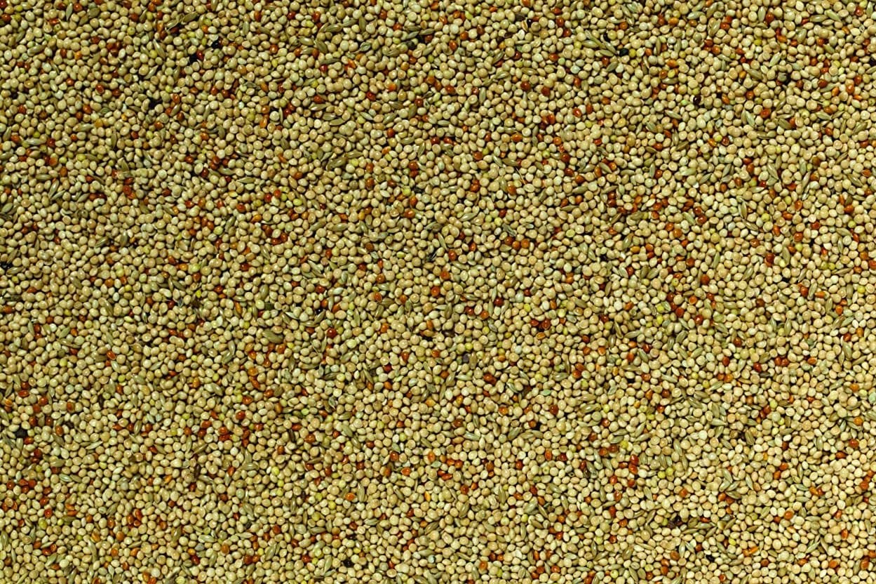 1.8kg Budgie Seed