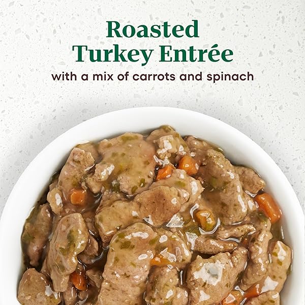 NUTRO ULTRA WET DOG FOOD GRAIN FREE FILETS IN GRAVY DUCK & ROASTED TURKEY VARIETY PACK, 3.5 OZ. TRAYS (12 COUNT, PACK OF 1)