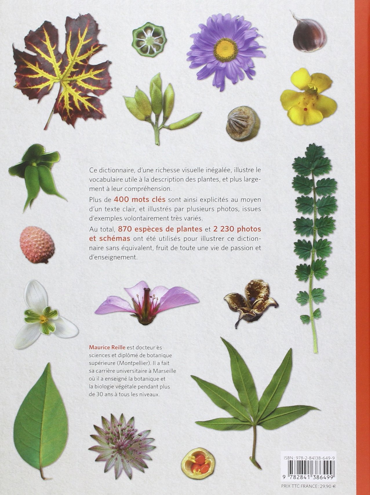 diplome universitaire botanique