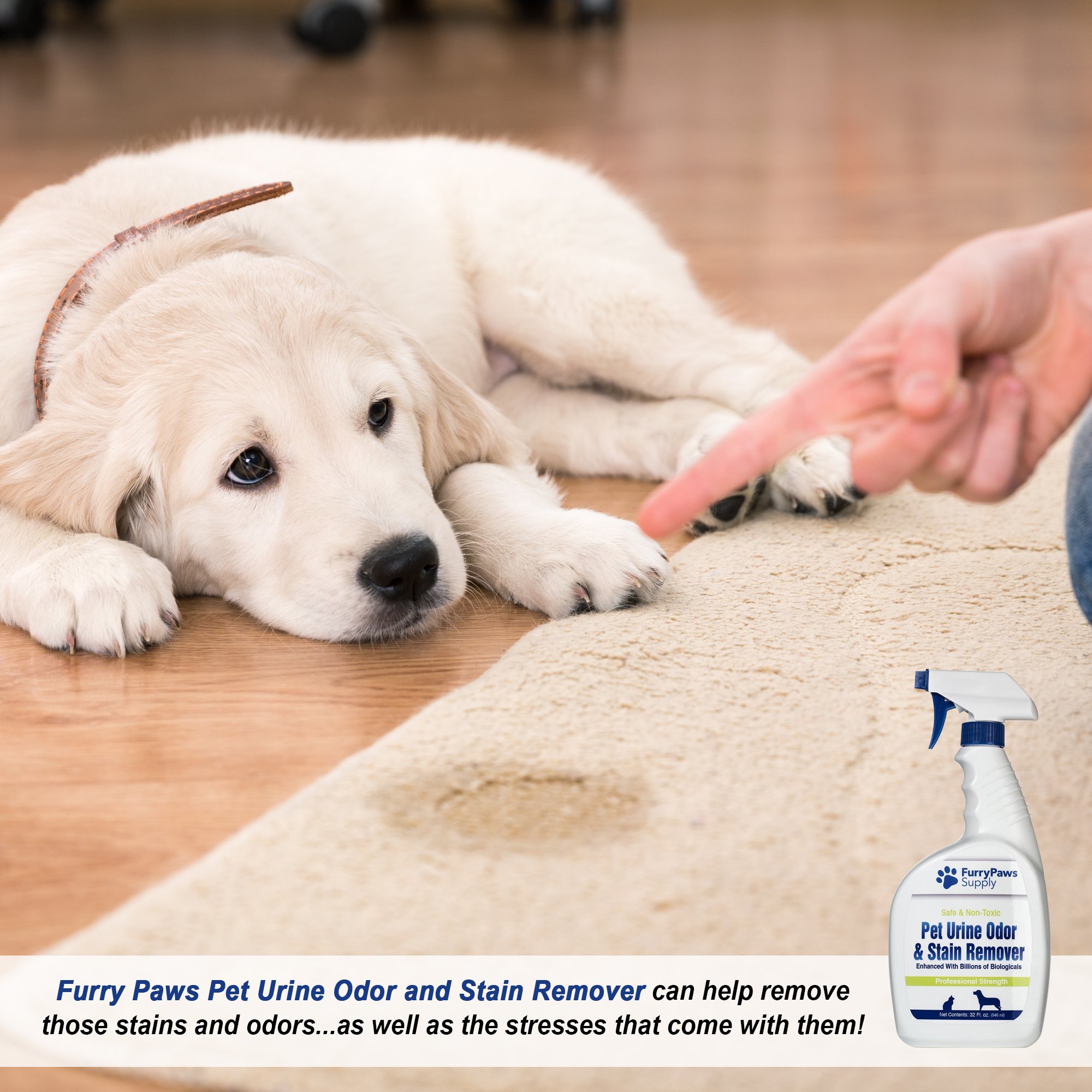 Furry Paws Pet Urine Odor and Stain Remover 32 Ounce Permanently