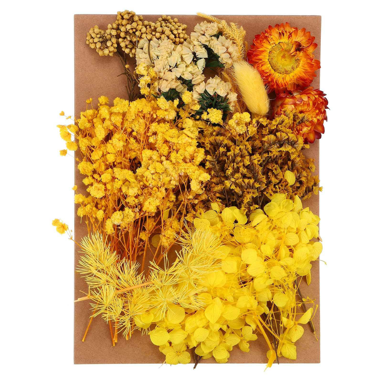 PATIKIL Pressed Flowers for Craft, Bulk Dried Flowers Natural Pressed Flowers Leaves for Resin Soap Candle Scrapbooking DIY Gift Papermaking, Yellow Style