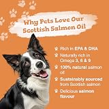 Zipvit Scottish Salmon Oil for Dogs & Cats 1 Litre Omega 3 6 9 view 3