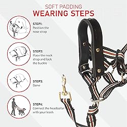 ALPHA BOY Dog Training HeadCollar – Comfortable