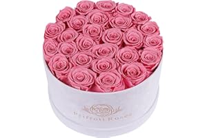 PRIFROTI 27 Roses in a Luxury Suede Box, Mother Day Flowers Gifts for Mom, Preserved Flowers for Her, Birthday Gifts for Women, Light Pink