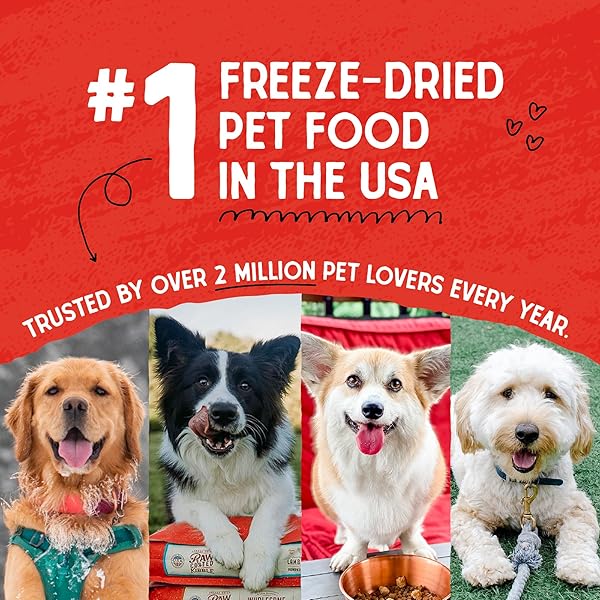 STELLA & CHEWY’S FREEZE DRIED RAW SUPER BEEF MEAL MIXER – DOG FOOD TOPPER FOR SMALL & LARGE BREEDS – GRAIN FREE, PROTEIN RICH RECIPE – 3.5 OZ BAG