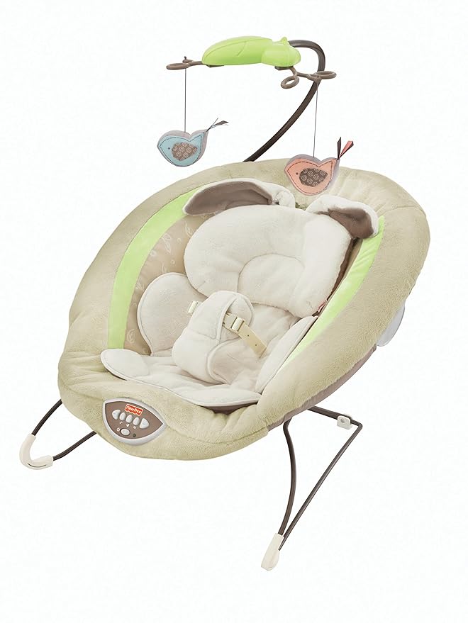 fisher price sweet snugapuppy bouncer
