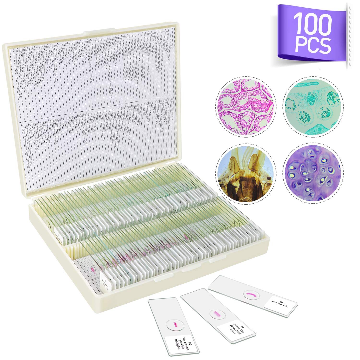100 Piezas Portaobjetos de Microscopio Preparados, Muestras de Biología Profesional Tejidos Humanos, Células, Plantas, Insectos para Niños Estudiantes Aprendizaje de Ciencias