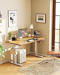 ErGear Height Adjustable Electric Standing Desk, 55