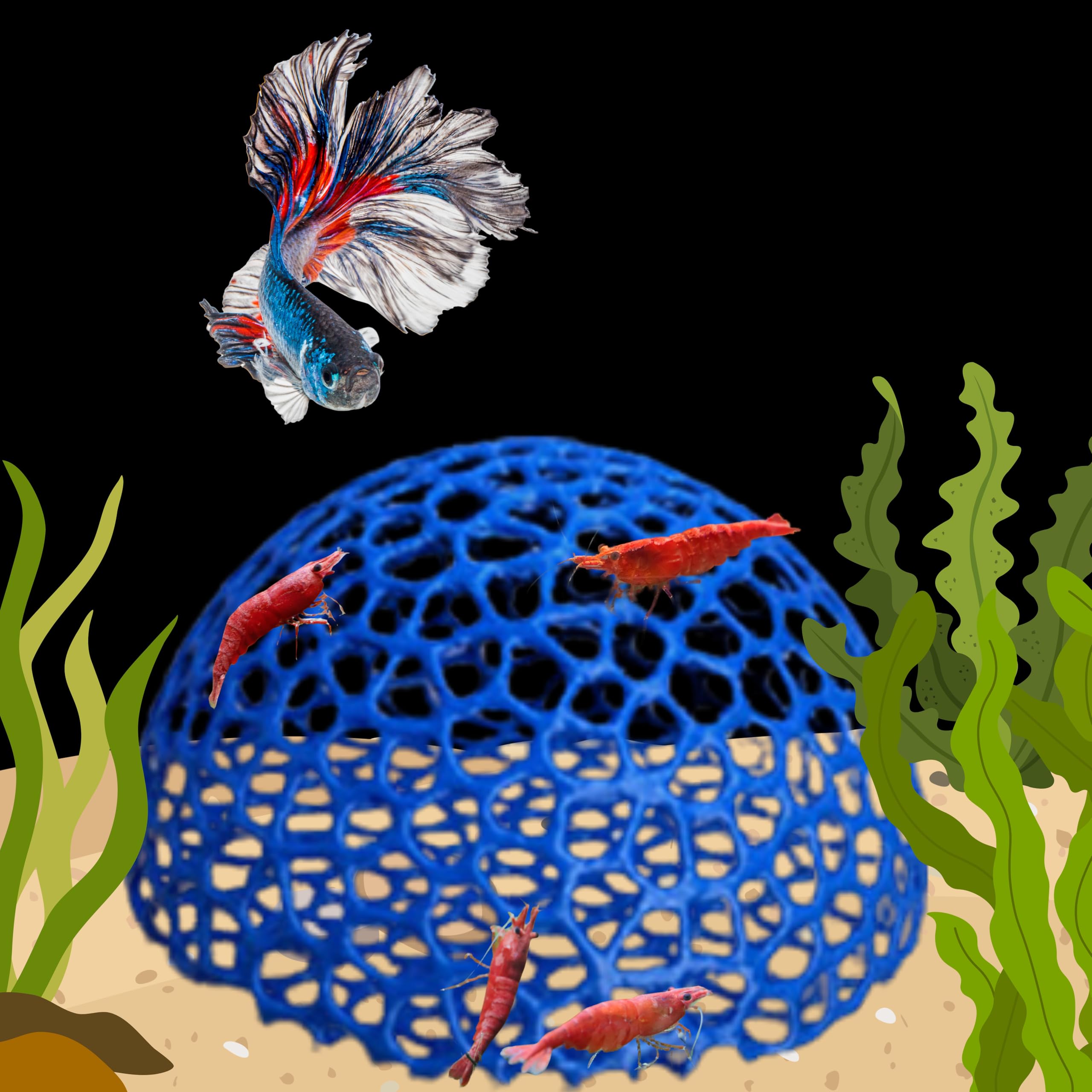 Photo 1 of Aquarium Shrimp Cave Hideout, Shrimps Hides, Shrimp Tunnel Aquarium Cave, Shrimps Shelter and Breeding Supplies, Fish Tank Decorations, Betta Fish Tank Accessories (Hollow)