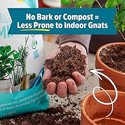 Back to the Roots 100% Organic Indoor Potting Mix