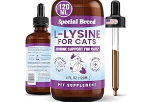 Special Breed L-Lysine for Cats & Kittens – Immune, Respiratory & Eye Health Support – Liquid Cat Supplement with Astragalus, Burdock, Atractylodes, Dangshen & Vitamins A, B1, B2, B6 – 4oz (120mL)