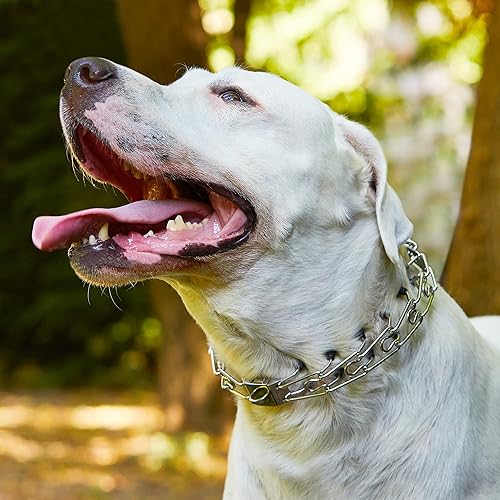 Prong Collars for Dogs Quick Release Buckle Stainless Steel Dog