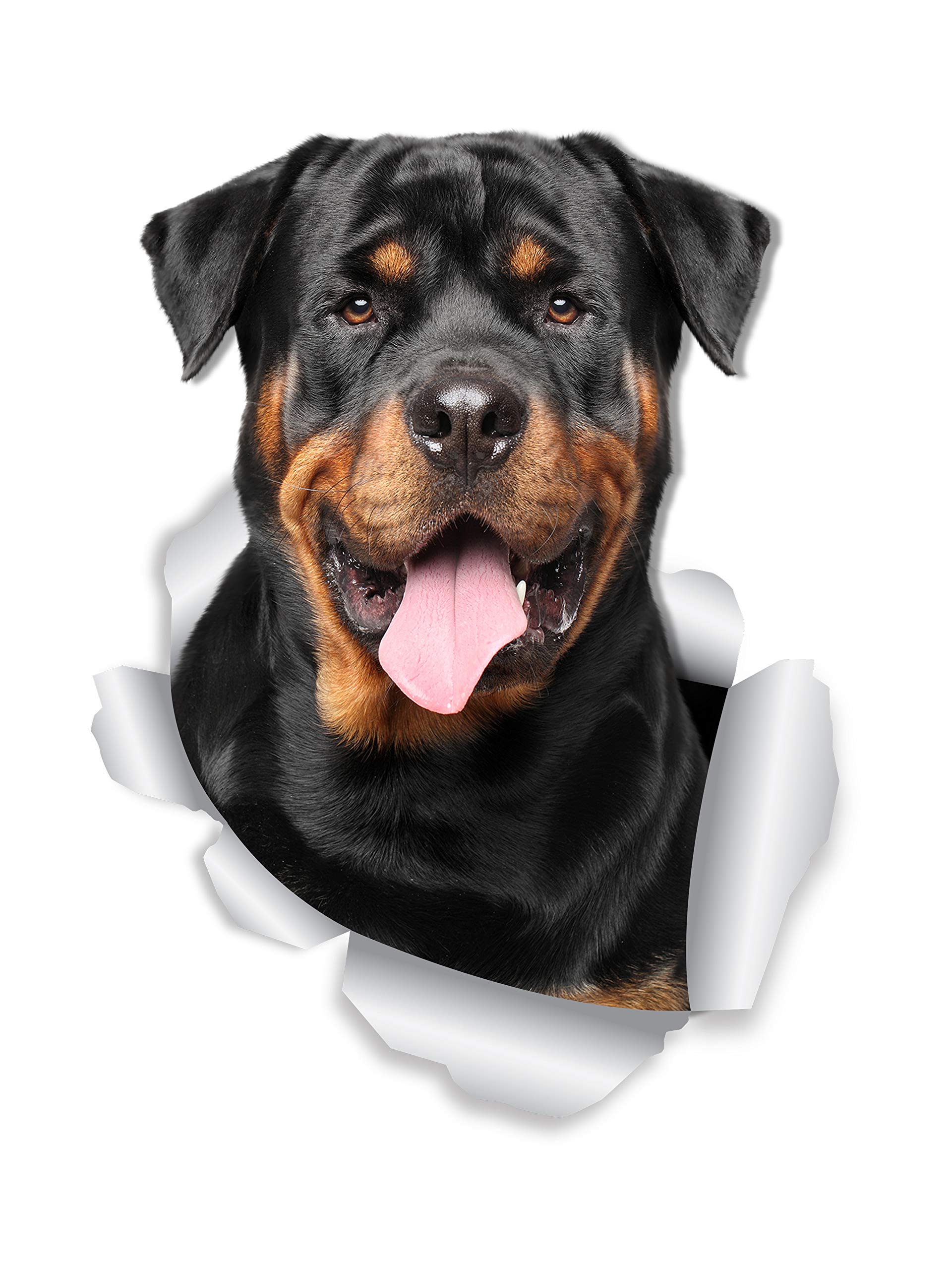 Winston & Bear 3D Smiling Rottweiler Stickers - 2 Pack - Rottweiler Wall Decals - Dog Lover Gifts - Dog Stickers for Bedroom - Fridge - Toilet - Car - Retail Packaged