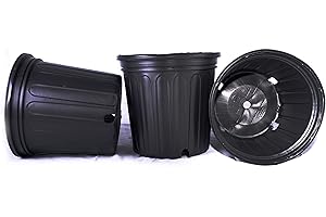 SEED KINGDOM 50 New Plastic Nursery 2 Gallon Trade Pot ~ Actual Volume: 1.593 Gallons