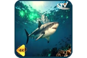 Deep Realm Channel-Deep Sea Sharks for Deep‑Sea ease mode