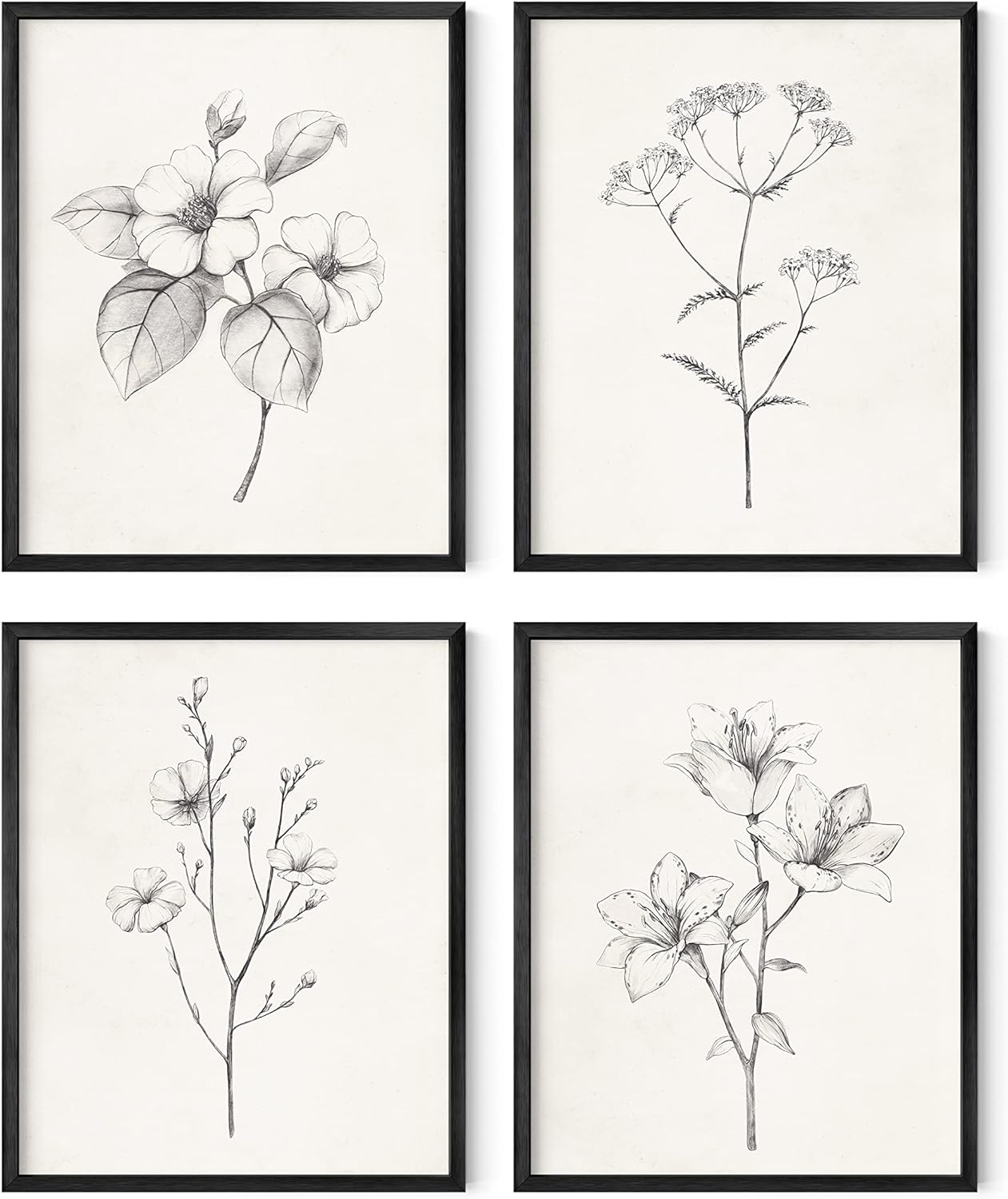 Wall Décor - HAUS AND HUES Grey Floral Wall Art - Set of 4 Plant Posters for Wall Vintage, Botanical Prints, Black and White Wall Art Flower Pictures for Room Aesthetic, Farmhouse Bathroom Art (8x10, Unframed)