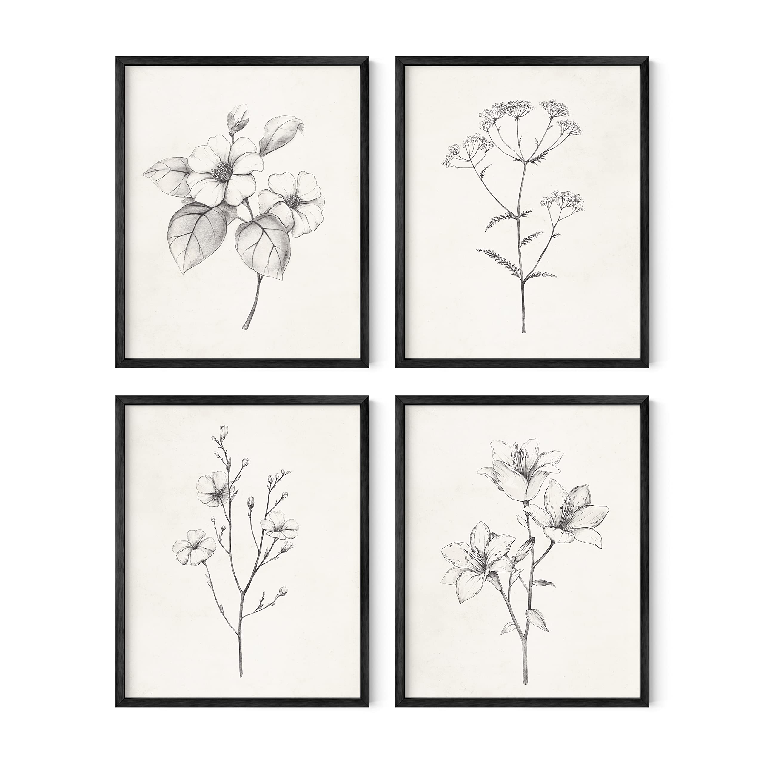 HAUS AND HUES Grey Floral Wall Art - Set of 4 Plant Posters for Wall Vintage, Botanical Prints, Black and White Flower Pictures for Room Aesthetic, Farmhouse Bathroom, Rustic Art (8x10, Unframed)