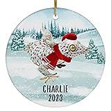 Santa Hat and Scarf Welcome Winter Bluish Tokay