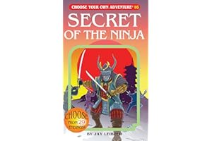 Secret Of The Ninja (Choose Your Own Adventure)