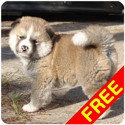 秋田犬の鳴き声 Amazon Co Jp Appstore For Android