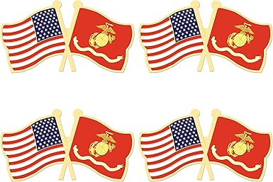 Amazon Com Aley 4 Pack Us Marine Corps Flag Pin Small Mini United