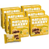 Nature&rsquo;s Bakery Lemon Fig Bars, Real Fruit, Nut Free, 36 Pack
