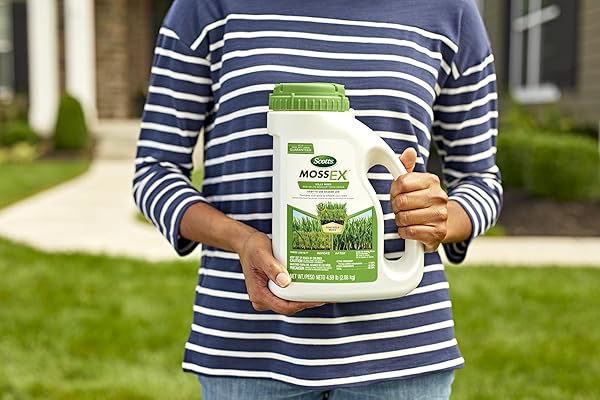 SCOTTS MOSSEX, MOSS KILLER FOR LAWNS, EASY-TO-USE SHAKER JUG, CONTAINS FERTILIZER TO GREEN GRASS, 4.59 LBS.