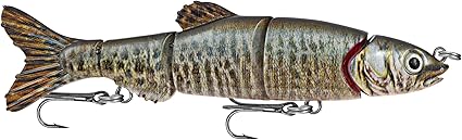 Tiger minnow Clearance