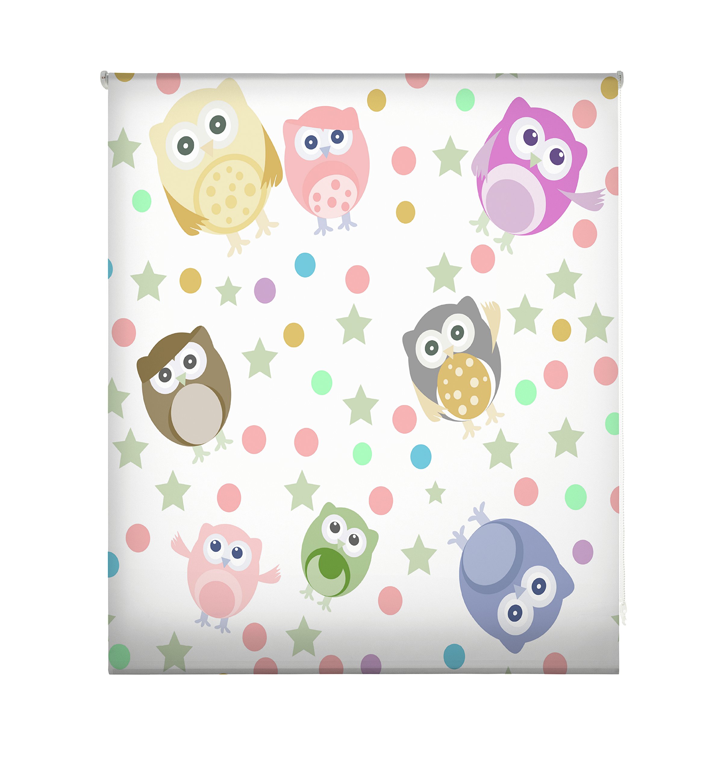 Blindecor W-I-51615 – Roller Blind Transparent Digital Print, 110 x 180 cm