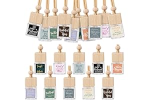 Havawish 30 Pcs Christmas Appreciation Gift Bulk for Employee Staff Empty Glass Essential Oil Diffuser Car Air Freshener Diffuser for Teachers Hanging Ornament Inspirational Team Thank You Gift