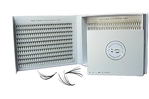 5D Wispy Fish Tail 600 Premade fans 0.07 Mixed Lengths 9-16mm 1000 fans Volume loose Lashes C D Curl Handmade Fan eyelash extensions Kimeyelashes promade fan (FishTail - 5D - Curl C)