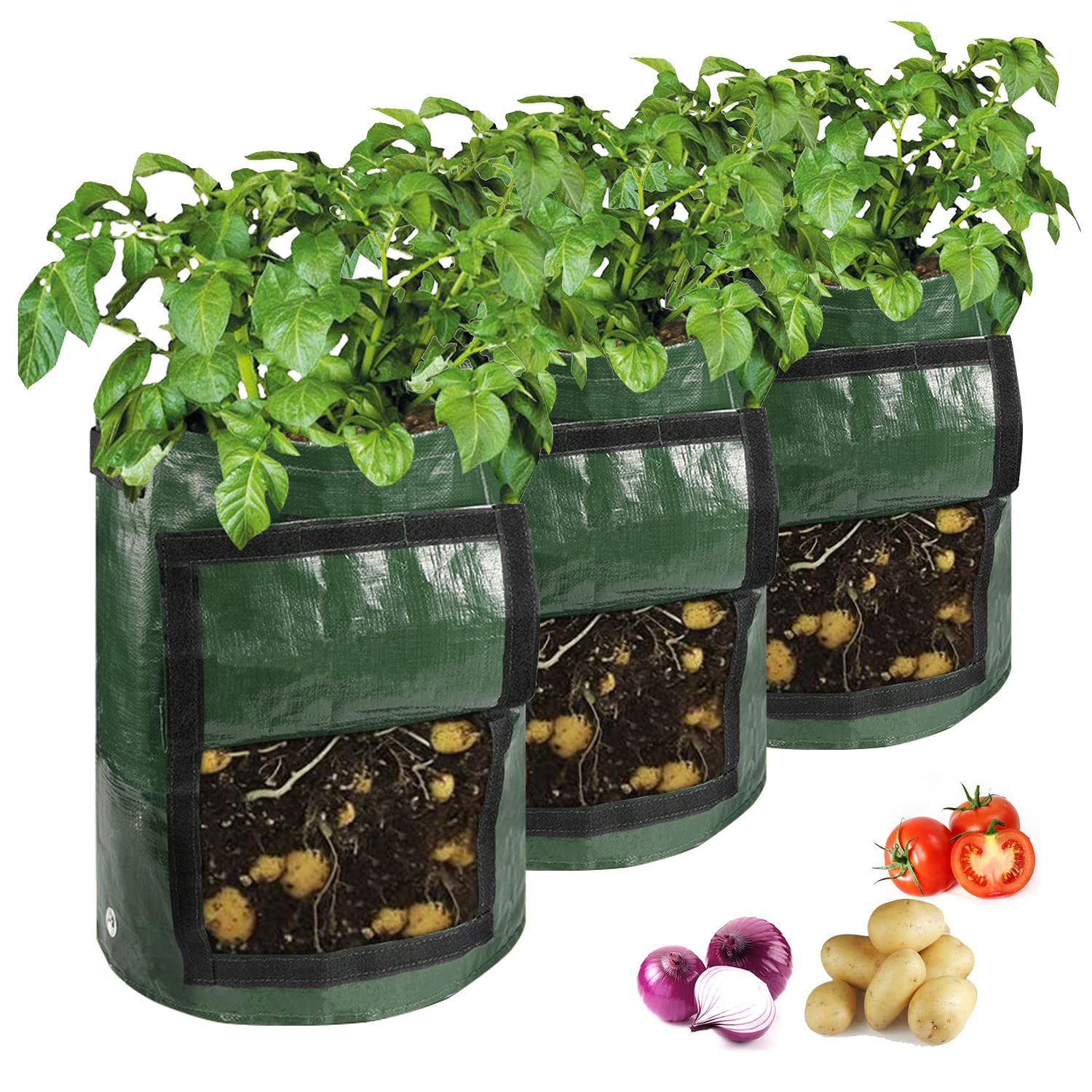 View 6