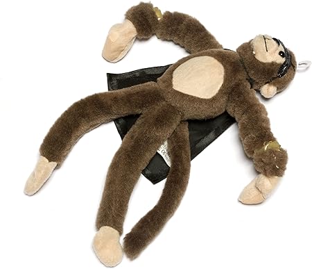 Flingshot Slingshot Flying Screaming 