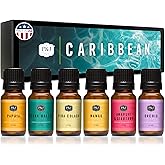 P&J Trading Fragrance Oil Caribbean Set | Pina Colada, Awapuhi Seaberry, Papaya, Mango, Ocean Breeze, Orchid Candle Scents for Candle Making, Freshie Scent, Soap Making Supplies, Diffuser Oil Scents