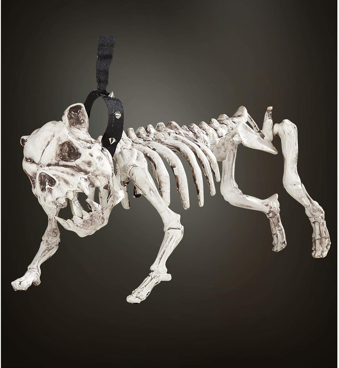 Widmann 01373 ? Skeleton Dog with Lead, 45 cm, Off-white
