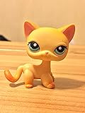 Littlest Pet Shop Siamese Shorthair #339