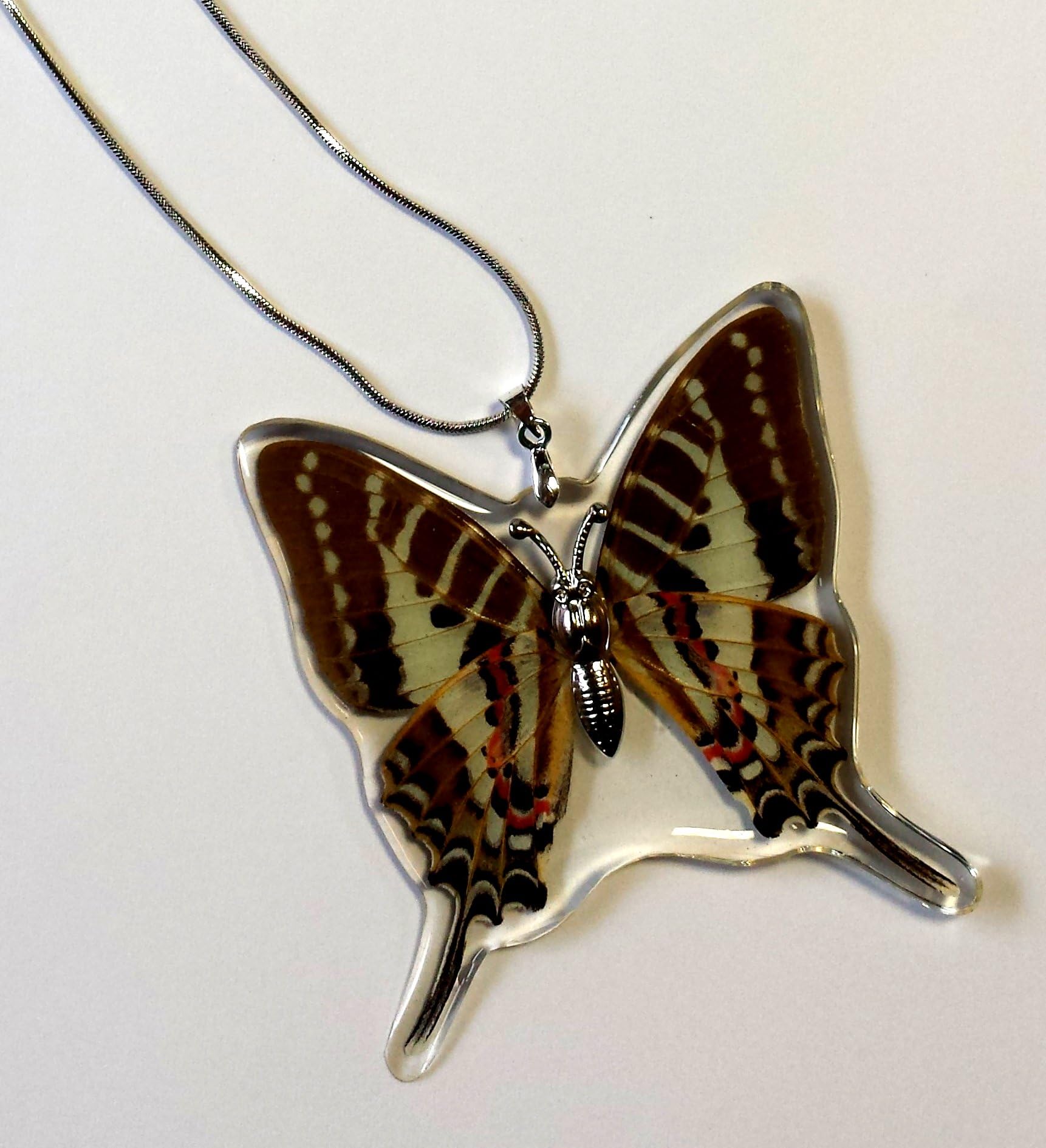 Spot Swordtail Butterfly Necklace (Real Butterfly)